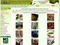 Bouncing Bear Botanicals