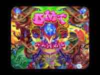 DMT Nexus